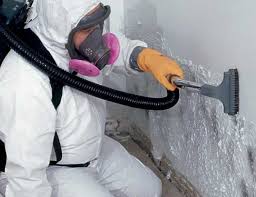  Trexlertown, PA Mold Removal Pros